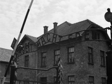 DELTA Hostel w Krakowie